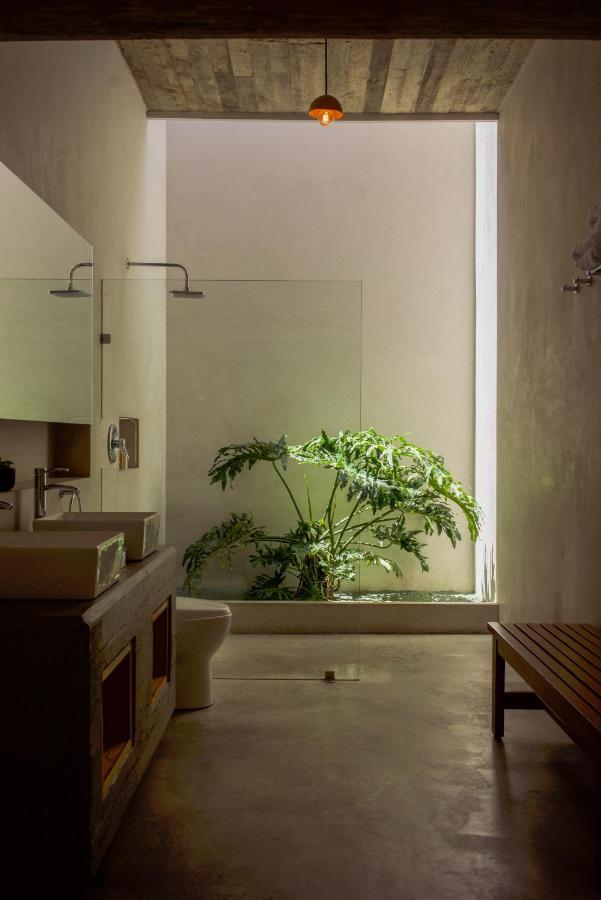Casa Carmen Morelos Oaxaca Dış mekan fotoğraf